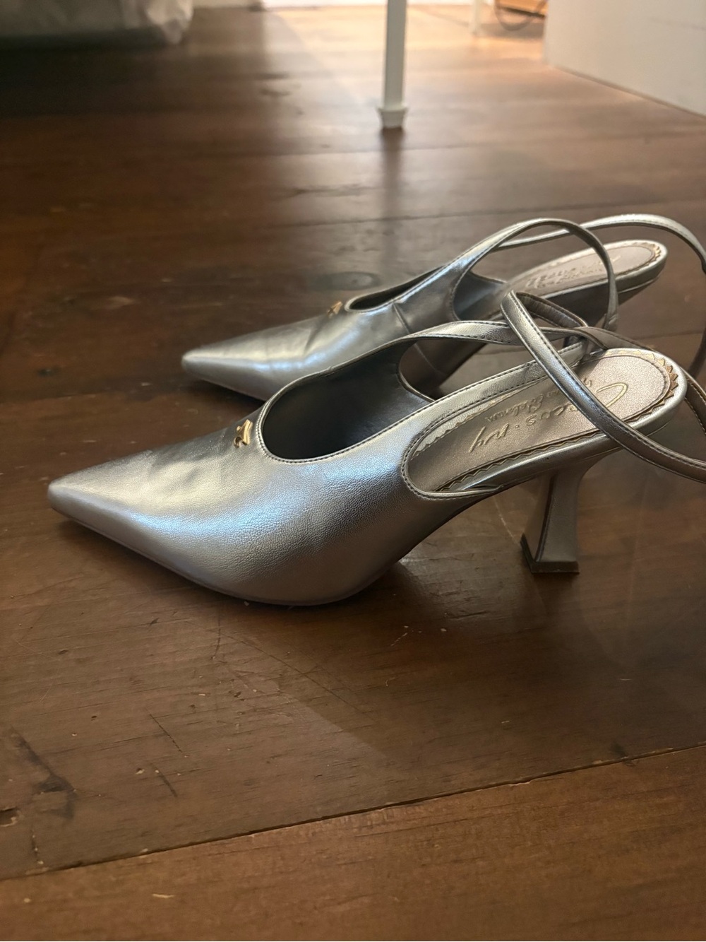 Metallic Silver Pointed Toe Heels
